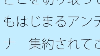 Thumbnail of post image 037