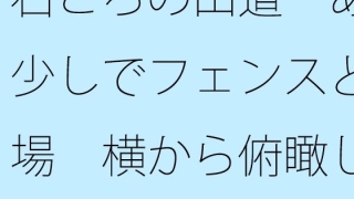 Thumbnail of post image 037