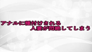 Thumbnail of post image 148